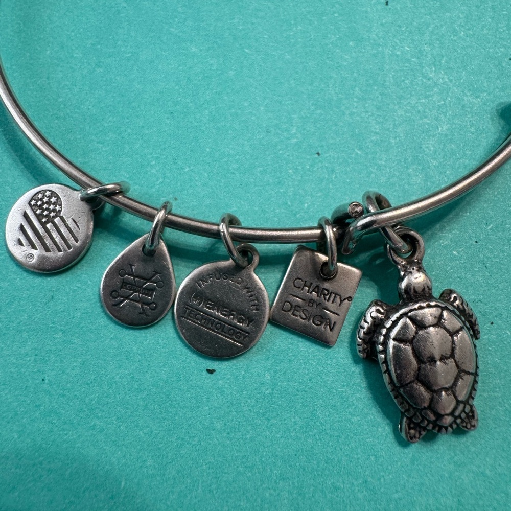 Alex and Ani Turtle Silver Charm Bracelet